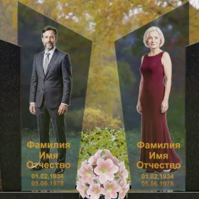 Памятник П255